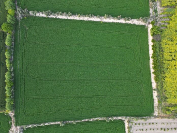 Landwirtschaftliche Investitionen im Fokus