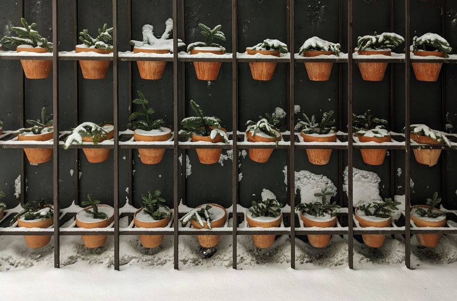 Moderne Gartensauna und Wintergarten