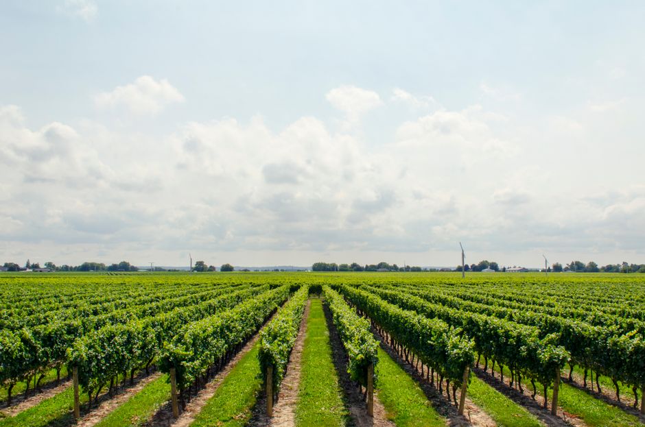 Nachhaltige Milchproduktion im Fokus