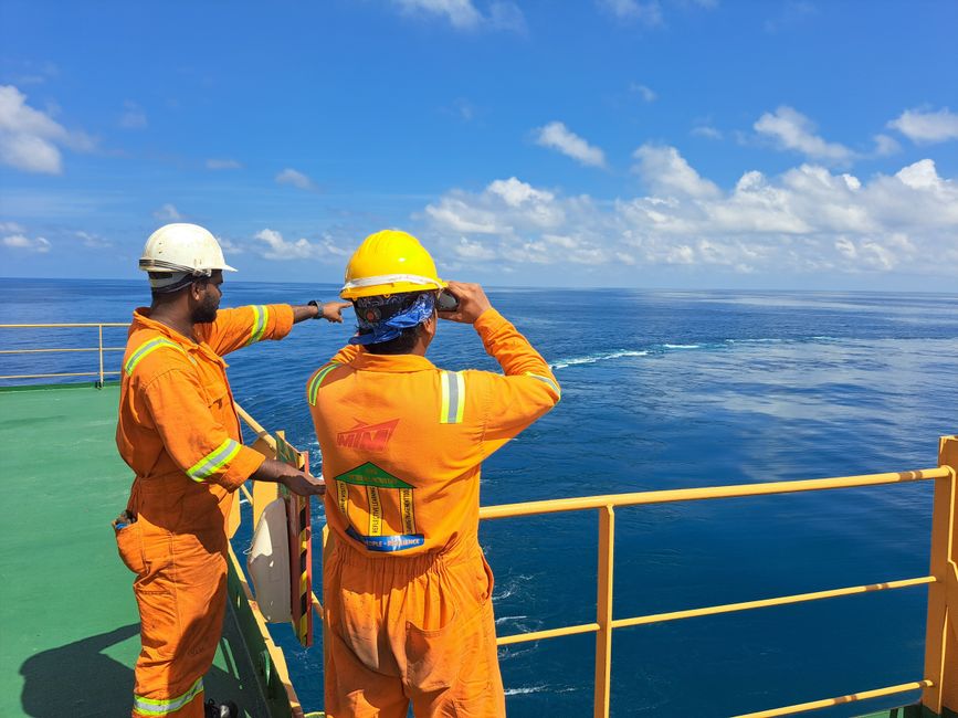 Shell und BP: Kooperation in der Ölindustrie