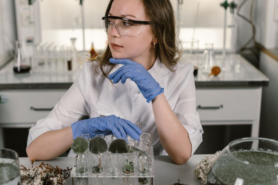 Syngenta und Amoéba: Neuer Vertriebsdeal für Biofungizid