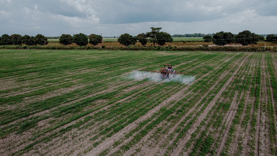 Syngenta und Amoéba: Neuer Vertriebsdeal für Biofungizid
