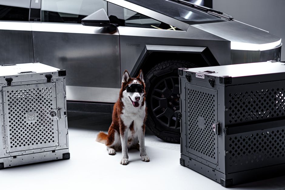Tesla-Aktie und Cybercab-Launch