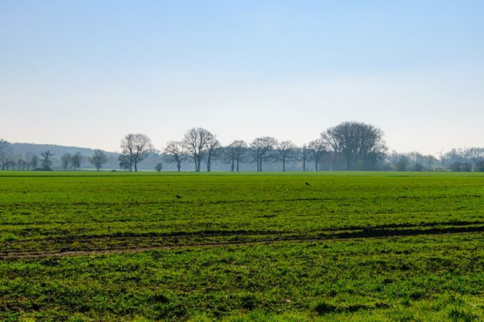 Wahlen in Niedersachsen 2026