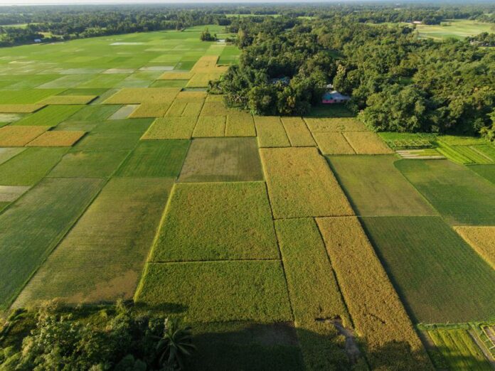Wichtige Fristen für Landwirte im September 2026